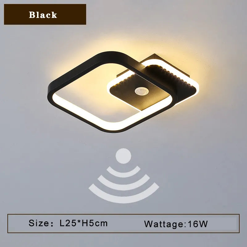 47102858461488|47102858494256