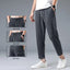 Ice Silk Linen Man Sport Pants Casual Overweight Sweatpants Male Quick-dry Elastic Baggy Ankle-length Harem Trousers Big Size