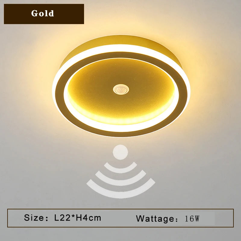 47102858264880|47102858297648