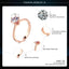 ZHOUYANG Wedding Rings For Women Classic Forever Perfect Cut 1 Carat Zircon Rose Gold Color 6 Claws Gift Wholesale Jewelry R013