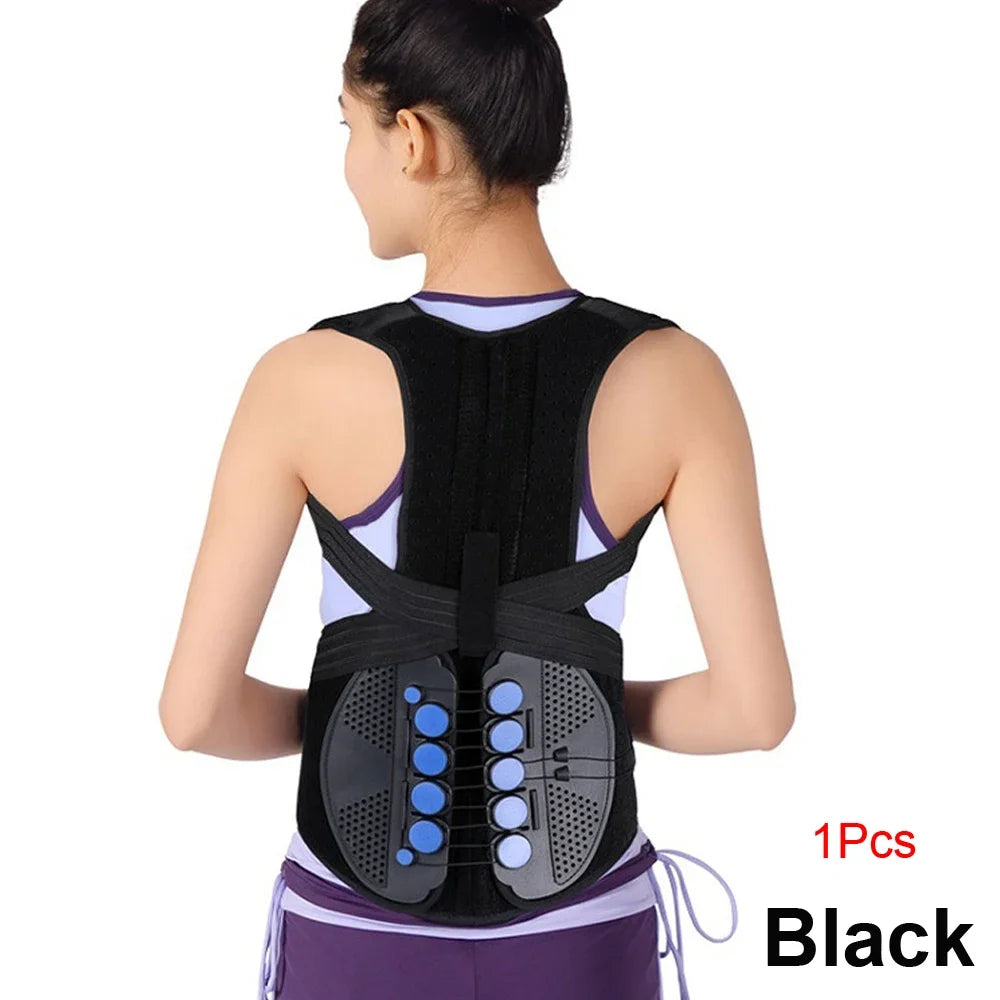 48658445467952|48658445500720|48658445533488